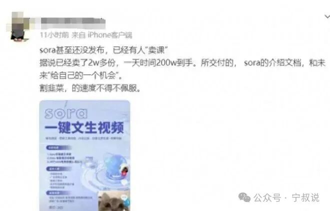 1单199，3个月5000万，搭积木挣钱法，谁都能学会